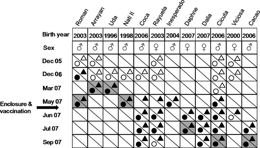 M.L. Meli et al. / Veterinary Immunology and Immunopathology 134 (2010) 61 67 63 Fig. 1. Time course of the FeLV epidemics in the Doñana region (Coto del Rey and Dehesa de Gato).