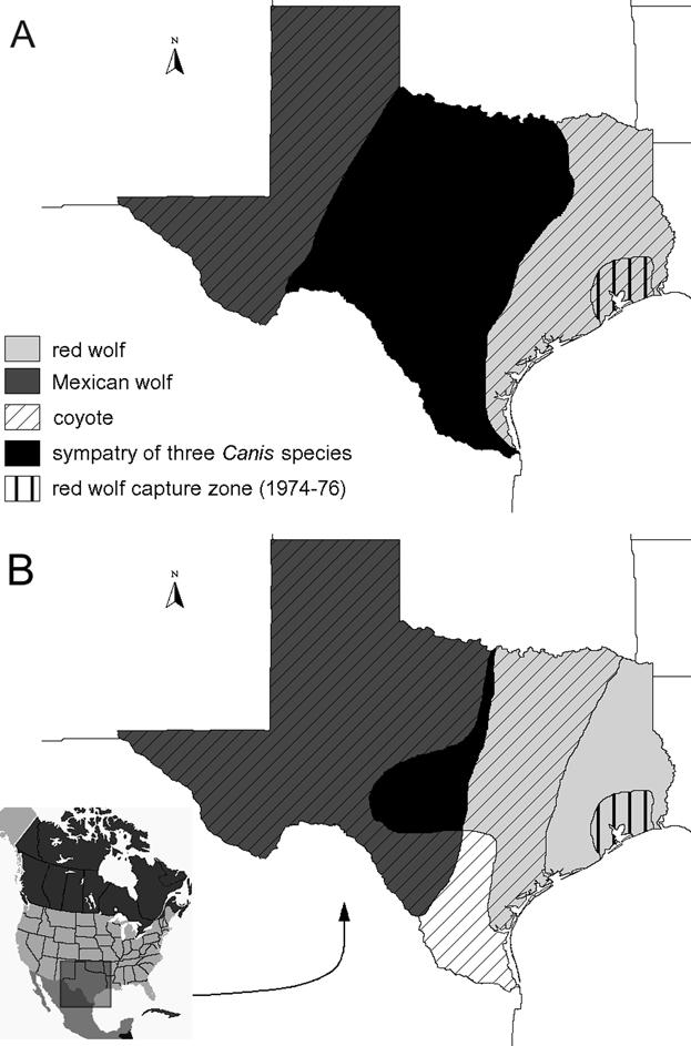 Figure 1. Historic distribution of three species of Canis in Texas. The region of historic sympatry is shown in black.