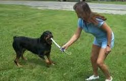 BULLI RAY Products Dog Batons The dog baton is a good tool to have when you need to put something in between your body and an attacking dog.