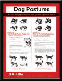 This poster features very clear and straight forward illustrations and descriptions that will teach and remind onlookers about canine body language.