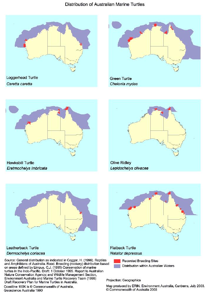 Figure 21: Distribution of marine turtles in Australia 89 89