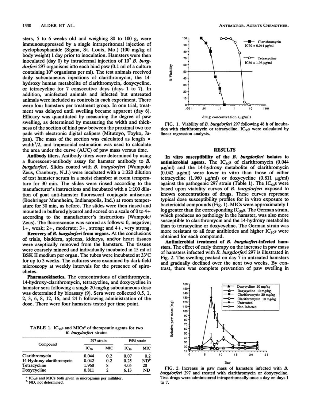 1330 ALDER ET AL. sters, 5 to 6 weeks old nd weighing 80 to 100 g, were immunosuppressed by single intrperitonel injection of cyclophosphmide (Sigm, St. Louis, Mo.