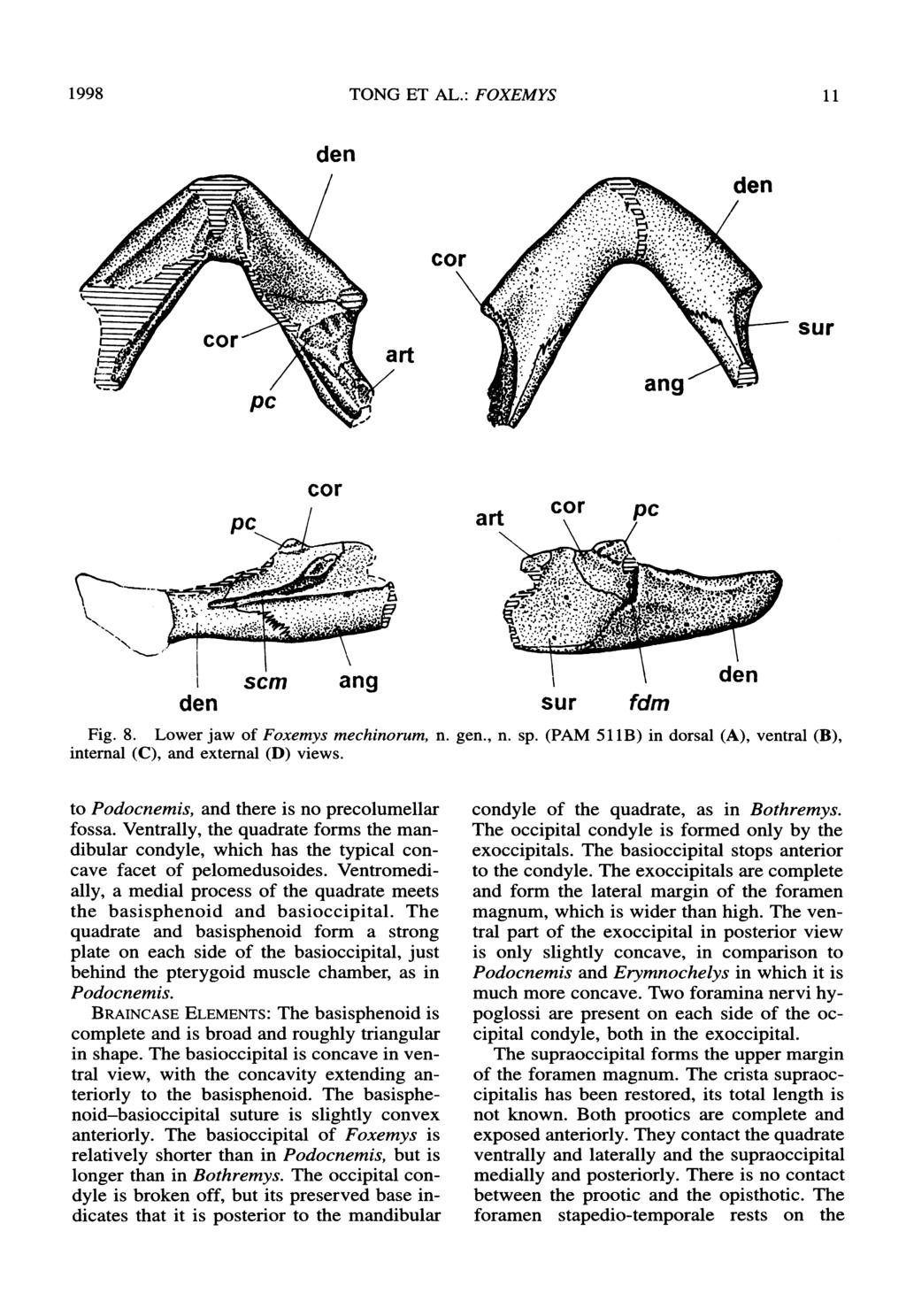 1998 TONG ET AL.: FOXEMYS 11 den cor sur cor den sur fdm Fig. 8. Lower jaw of Foxemys mechinorum, n. internal (C), and external (D) views. gen., n. sp.