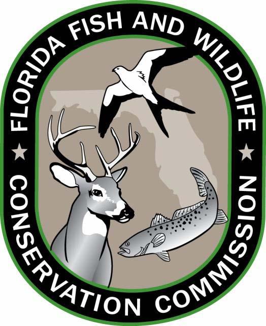 Breeding Bird Protocol for Florida s Seabirds and Shorebirds For use with the Florida Shorebird Database (FSD)