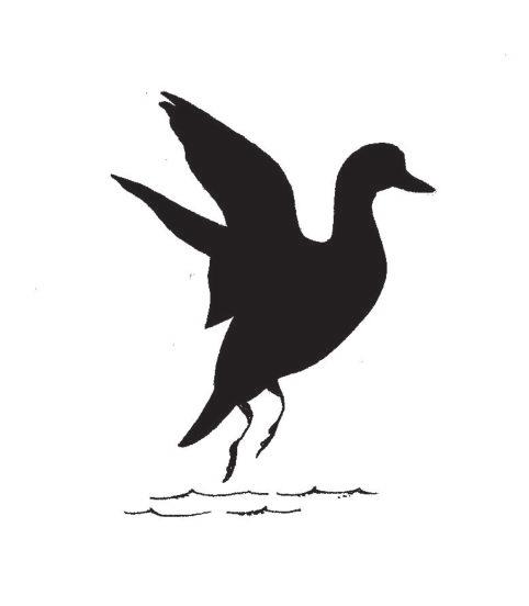 It may serve as a visual ID to help keep the flock together.
