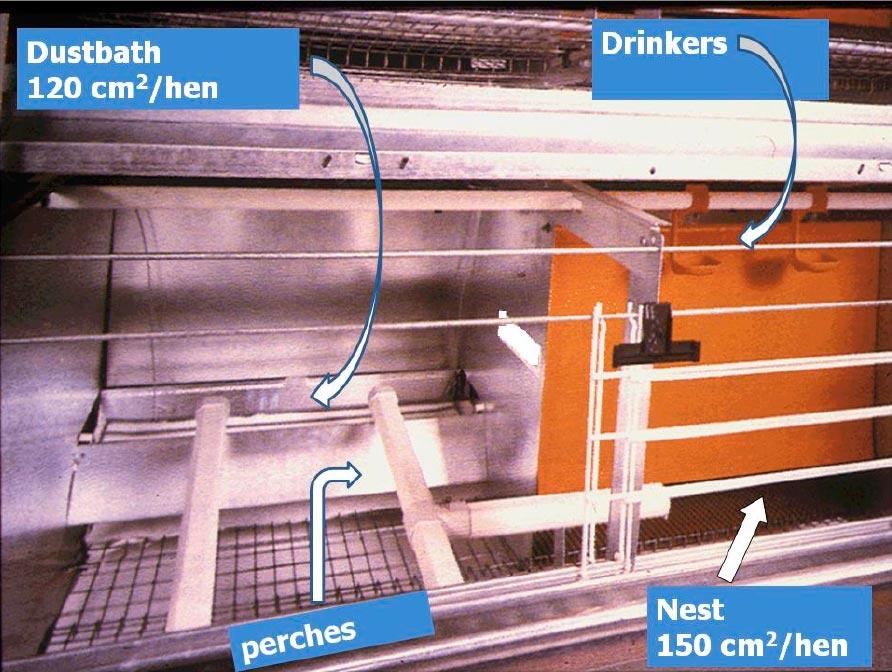 Rearing system and behavioural adaptation of laying hens to furnished cages 1999 Figure 1 - Schematic representation of the furnished cages used in the experiment.