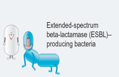 Infections due to ESBL-Producing Enterobacteriaceae Antimicrobial Treatment Pneumonia, bacteremia, intraabdominal infections, complicated UTI Type First-line