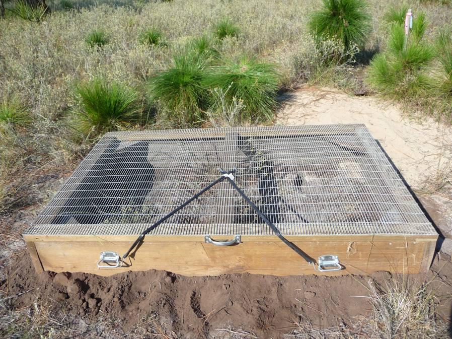 Herpetological Conservation and Biology Figure 2. Photo of release cage used for direct-release Gopher Tortoise (Gopherus polyphemus) hatchlings on St. Catherines Island, Georgia, USA.