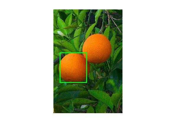 mandarin oranges in glass