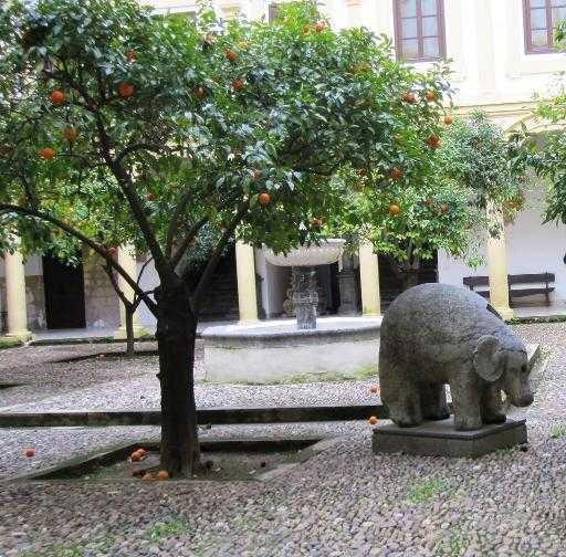 Cordoba - lonely elephant
