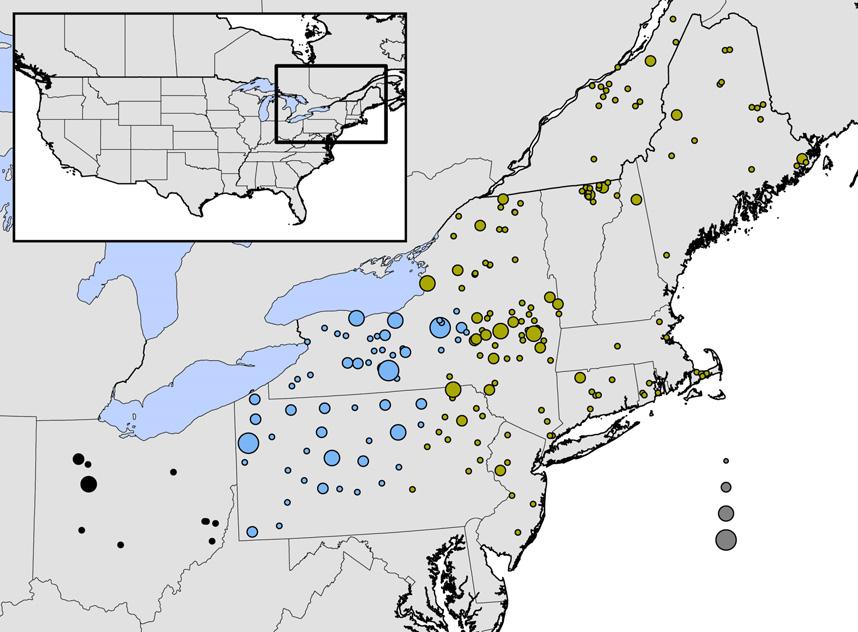 HYBRID ANCESTRY OF EASTERN COYOTES 3 Fig. 1 Study area and sampling localities of coyotes in north-eastern United States and south-eastern Canada. Circle size represents sample size per locality.