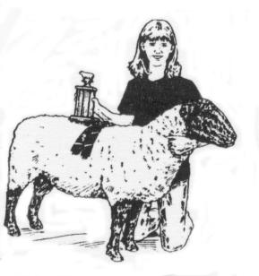 My 4-H Sheep Project Photographs Be creative. The more photograph the better, but a completed record book should at least have a beginning photograph and a finished picture.