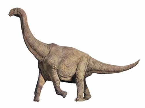 Lesson 3: Mesozoic Math Since humans were not alive that long ago, no one knows for sure exactly how long, tall, heavy or fast dinosaurs really were.
