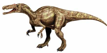 BARYONYX Order: Saurischia Suborder: Theropoda Means Heavy claw Pronunciation BEAR-ee-ON-ix Period Early Cretaceous Where Europe: England, Northern Spain; Africa: Morocco Length 9 meters (30 feet)
