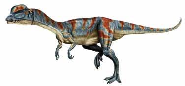 A fossil was found with a fossilized fish in its stomach. Baryonyx, with 64 teeth in its lower jaw and 32 larger teeth in its upper jaw, had about twice as many teeth as Tyrannosaurus rex.