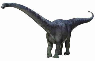 HUAYANGOSAURUS Order: Ornithischia Suborder: Thyreophora Means Huayang lizard Pronunciation hoi-yang-uh-saur-us Period Mid - Jurassic Where Asia: China Sichuan Province Length 4 meters (13 feet)