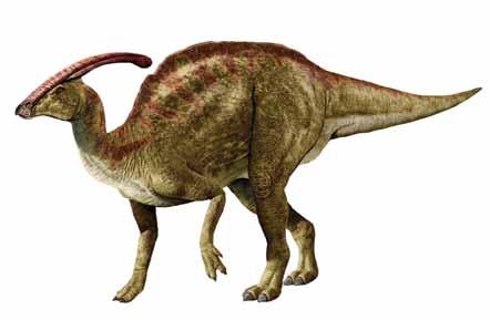 OMEISAURUS Order: Saurischia Suborder: Sauropodomorpha Means Mount Emei lizard Pronunciation oh-my-ee-soar-us Period Late Jurassic Where Asia: China Sichuan Province Length Up to 20 meters (66 feet)