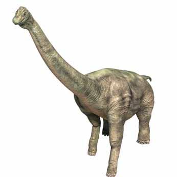 Many models and pictures still show Omeisaurus the way paleontologists thought it looked before we learned it couldn t raise its neck and head that far up.