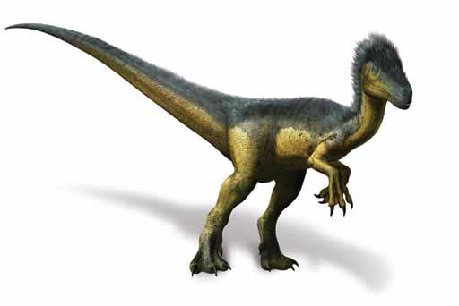What happened? 1. How many times were you able to put the pencil or pipe cleaner through the washer with only your left eye open? One of the most intelligent dinosaurs was Troodon.