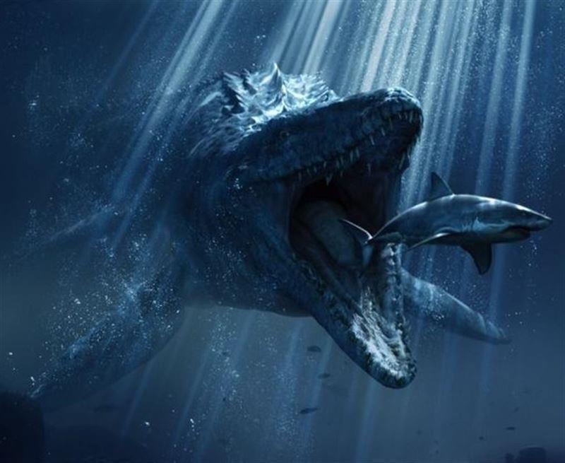 If you look close enough into the Mosasaurus mouth you can see the second set of teeth in its upper palate used to ensure no prey can escape from its mouth.