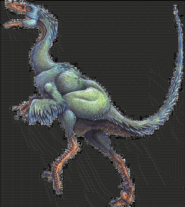 why a Troodon would need a claw or hand like this, but the fact that the adaptation occurred in the first place suggests that there was a need for it.