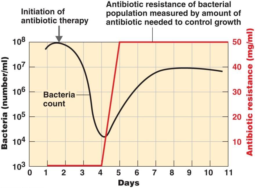 long-term, low-dose Abx use 4.