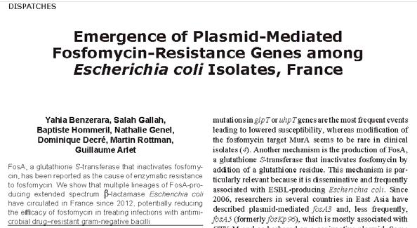 FOSFOMYCIN RESISTANCE Mutations in transporter genes (decreased entry) Modification of MurA target (rare) Addition of glutathione residue to fosfomycin (via
