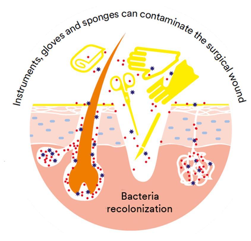 Risk of Contamination There are always residual microbes that survive on the skin surface, in deeper skin layers, and in hair follicles Without additional protection, residual bacteria on the skin