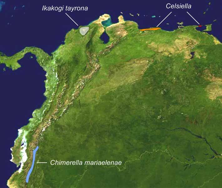 Andes and the Guiana Shield. The relationships of C.