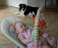 Instead, use this time more productively, to build a good association in the dog's mind towards your little one.