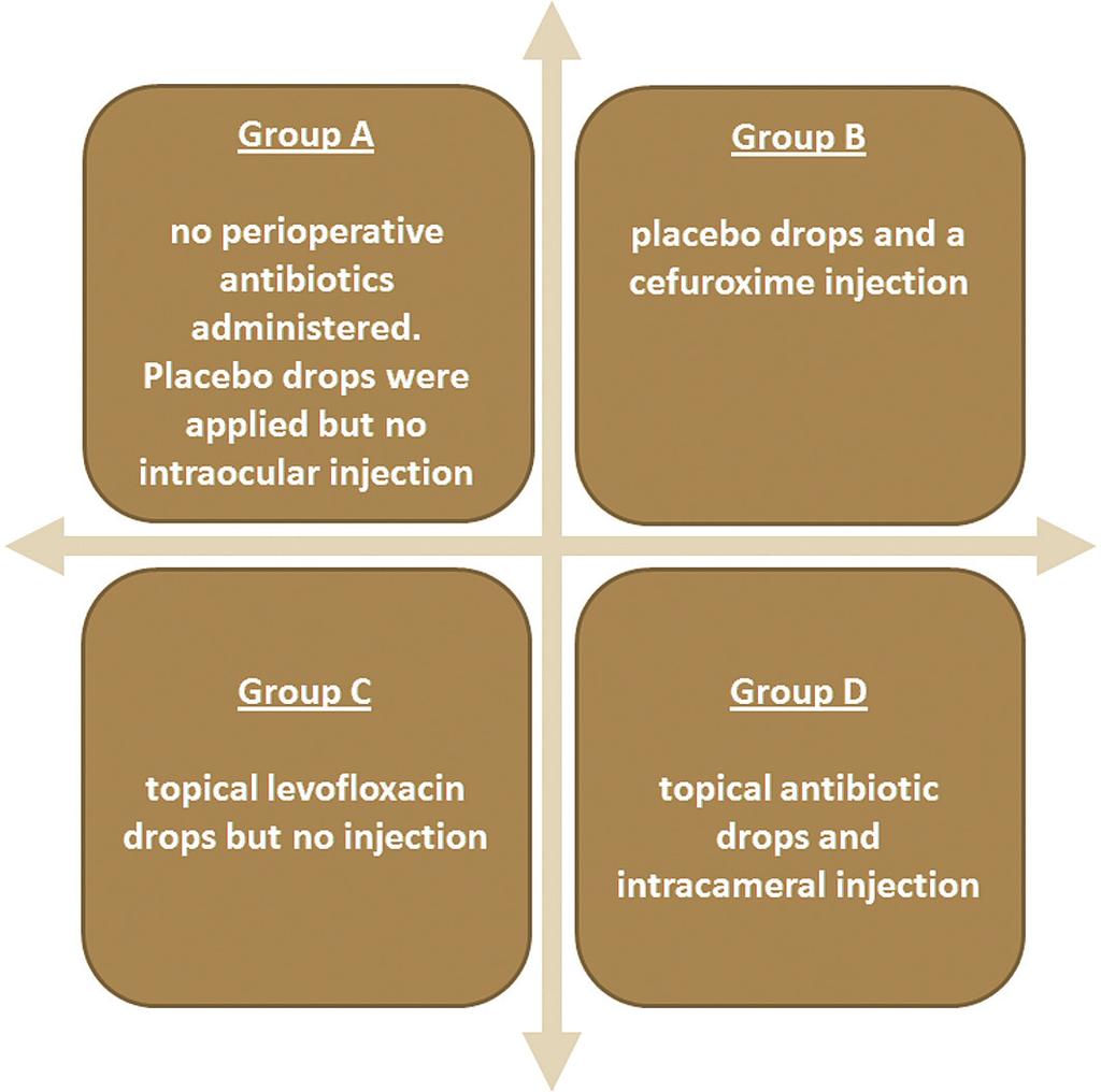 All 4 study groups received standard preoperative PVI (povidone-iodine), as well as topical levofloxacin drops four times daily (QID) postoperatively for 6 days.