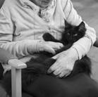 Social Health Benefits Social Health Benefits For elderly or people living alone, pet might be only family member. Increases social interactions. Increases sense of well-being.