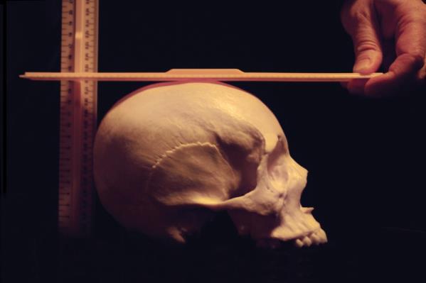 ength of the braincase: Position three rulers as shown on the left side of the photograph below. Ruler 1 should stand perpendicular to the table, and rest at the back of the skull.