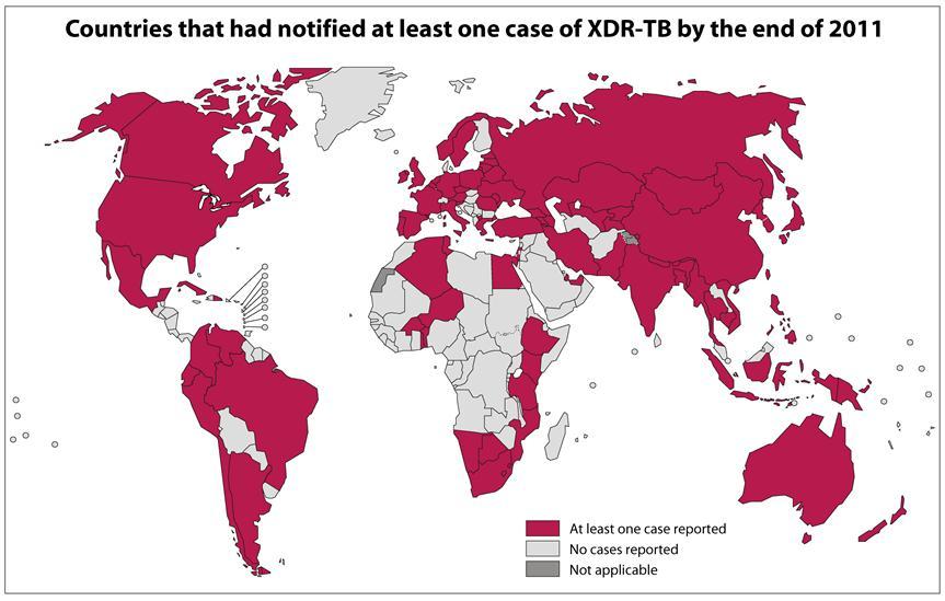 XDR-TB: A Global
