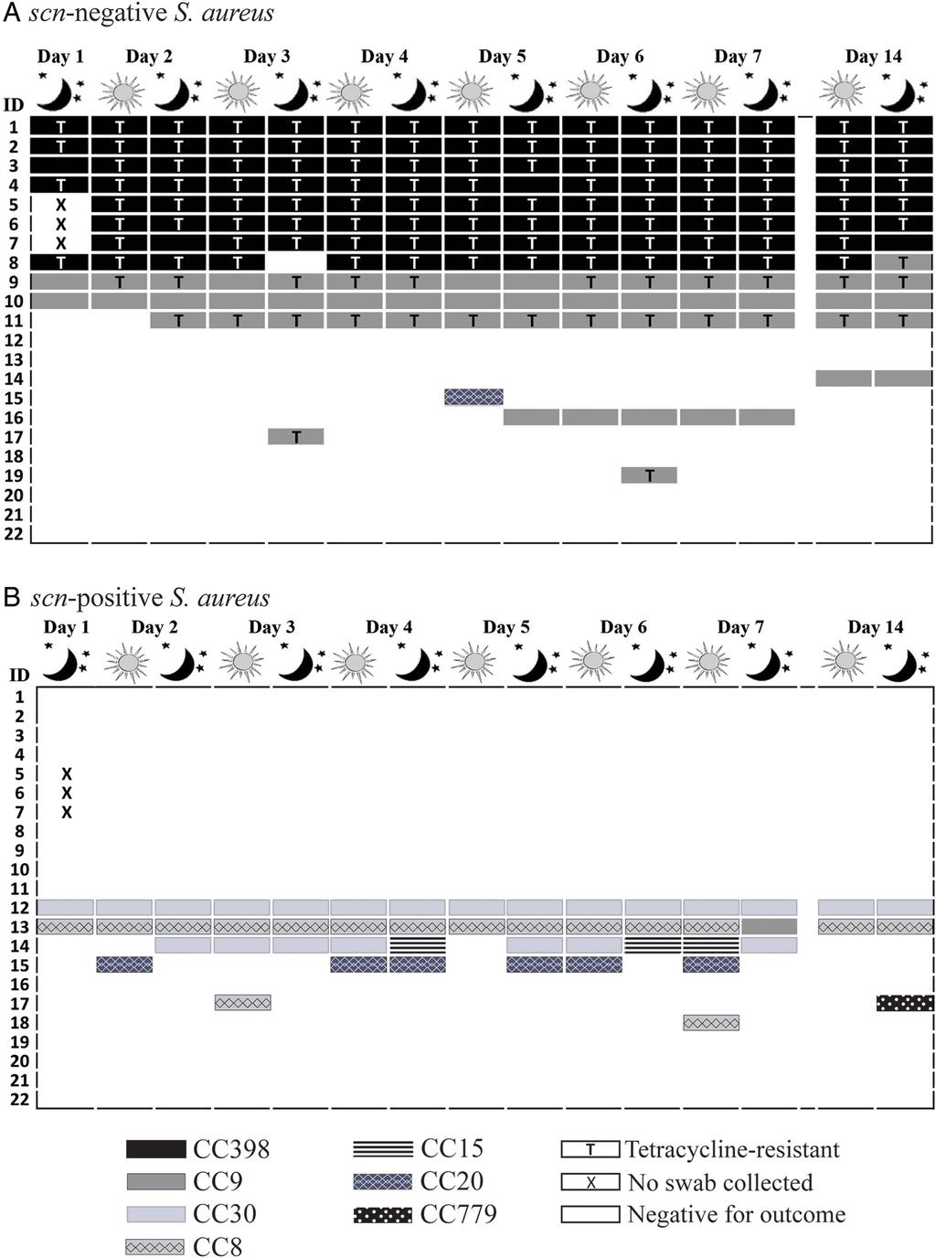 Figure 2 Distribution of clonal complex and tetracycline resistance among Staphylococcus aureus (S.