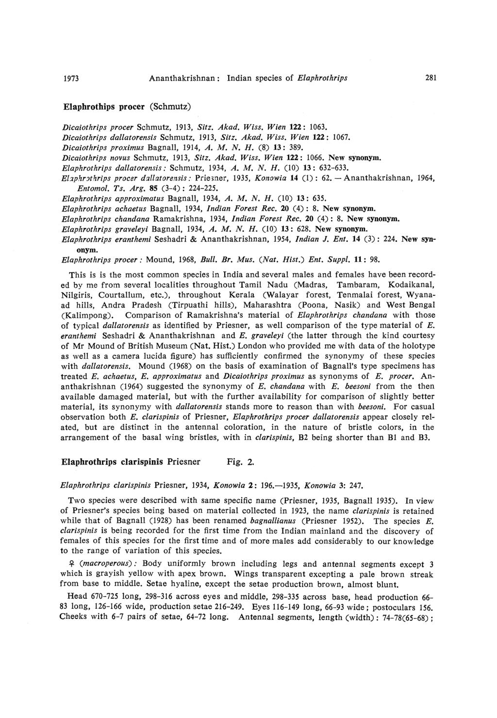 1973 Ananthakrishnan : Indian species of Elaphrothrips 281 Elaphrothips procer (Schmutz) Dicaiothrips procer Schmutz, 1913, Sitz. Akad. Wiss. Wien 122: 1063.