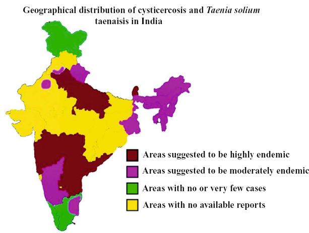 Cysticercosis, India Humans: 8.7-50% of patients recent onset of seizure. Prevalence of taeniasis: 0.5-18.