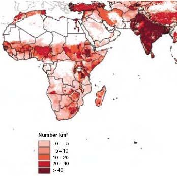 Tropical livestock unit density Sub-Saharan Saharan Africa & South Asia Source: