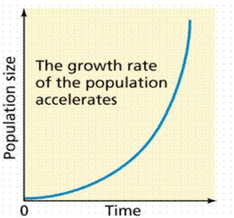 Open Populations Naturally occurring populations All 4 factors are working o Natality o Mortality o Immigration o Emigration J shaped Population Curve o A.k.a Exponential population growth o Occur when rapid population growth is not restricted and resources are available o i.
