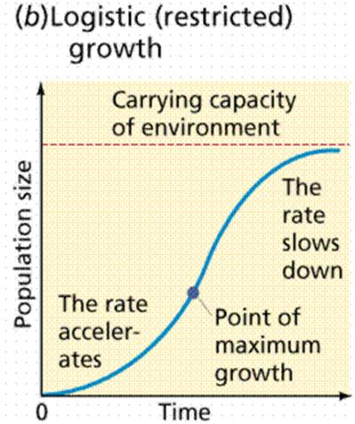 S shaped Population Curves Logistic Growth In most real populations food and disease become important as conditions become crowded.