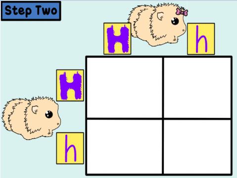 8. An allele is a form of a gene. In the Punnett square on the right, how many H/h alleles does a baby guinea pig inherit from the mother?