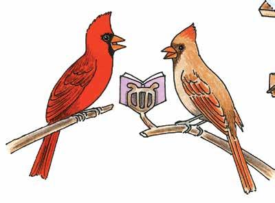 Bird- Feeder Buddies male FEMALE Other reddish birds will commonly be seen sharing time with