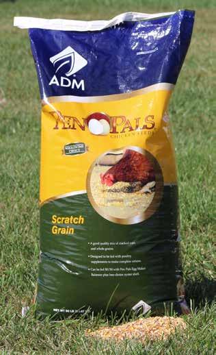 Scratch grain is comprised of a loose mixture of coarsely cracked corn and whole grains. When fed with complete chicken feed, Scratch Grain should be fed sparingly as a treat.