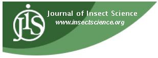 The species of Rhimphoctona (Xylophylax) (Hymenoptera: Ichneumonidae: Campopleginae) parasitizing woodborers in China You-Qing Luo 1a*, Mao-Ling Sheng 2b 1 The Key Laboratory for Silviculture and
