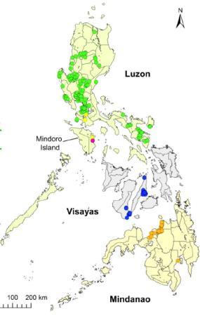 Philippine RABV glycoprotein Samples collected during