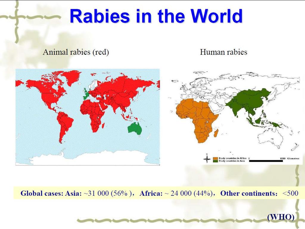 Reservoirs of animal rabies Asia: Dog etc.