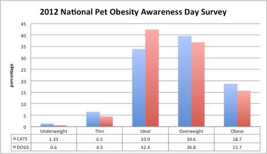 Many pet owners are shocked when their veterinarian informs them their pet needs to lose weight. Dr. E.