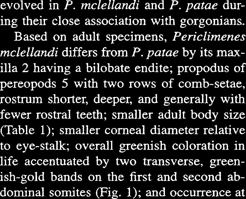 iridescens (Heard & Spotte 1991, Heard et al. 1993, Spotte et al. 1994), and we include P. mclellandi in this complex. Periclimenes mclellandi is similar to P.