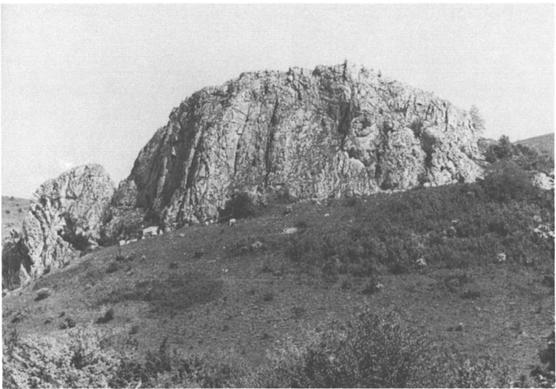 SPRING 1987 LONG-LEGGED BUZZARD BREEDING BIOLOGY 9 ' ' ':. " Figure 1. Crag nest site of Long-legged Buzzards at Pekliuka (Sofia district). emerged shortly after.