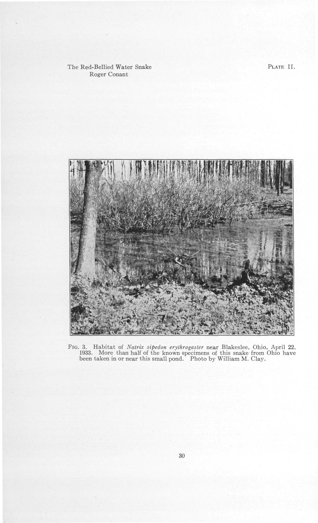 The Red-Bellied Water Snake Roger Conant PLATE II. FIG. 3. Habitat of Natrix sipedon erythrogaster near Blakeslee, Ohio, April 22, 1933.